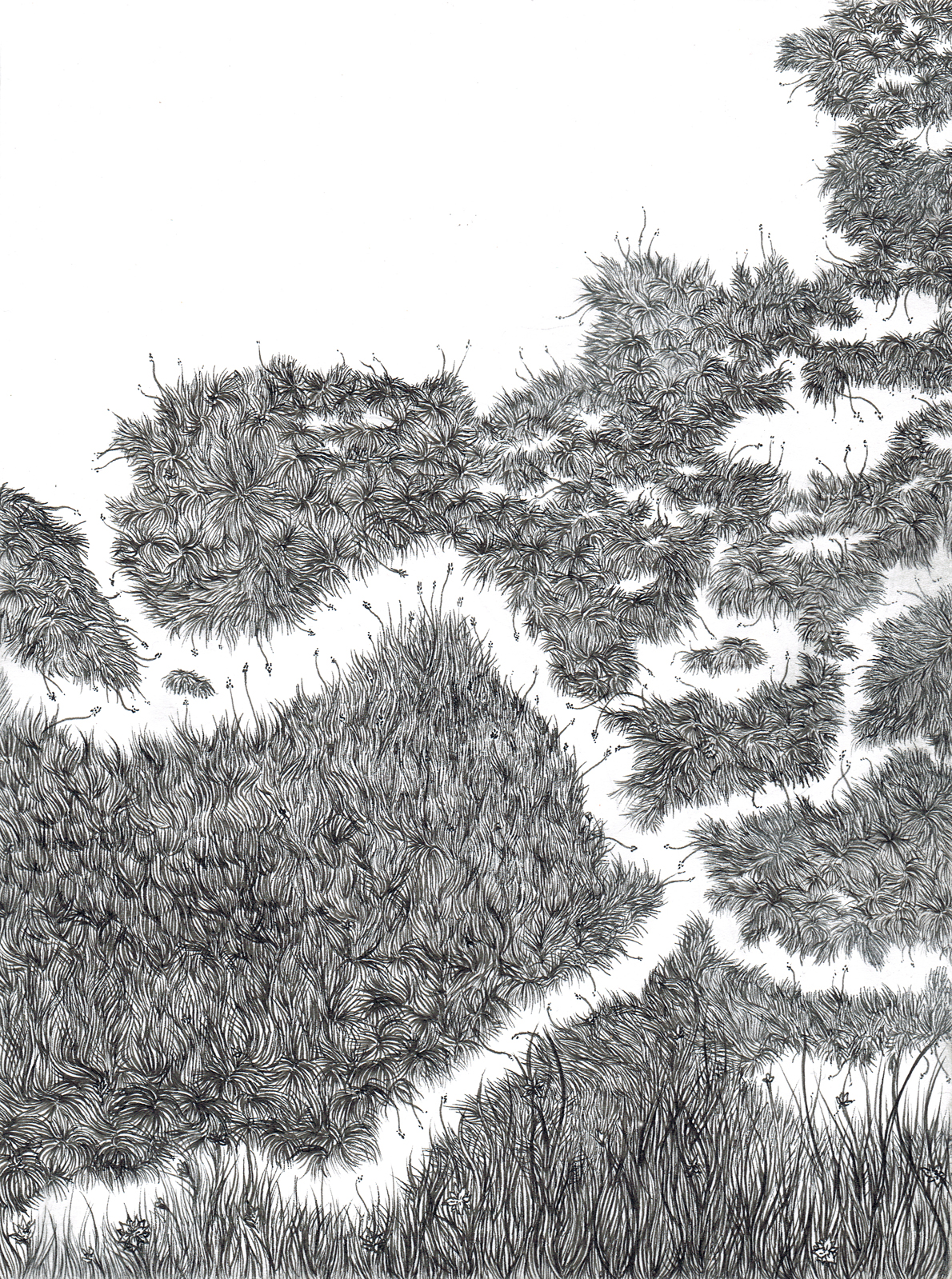 drawing of grass islands fading off into water