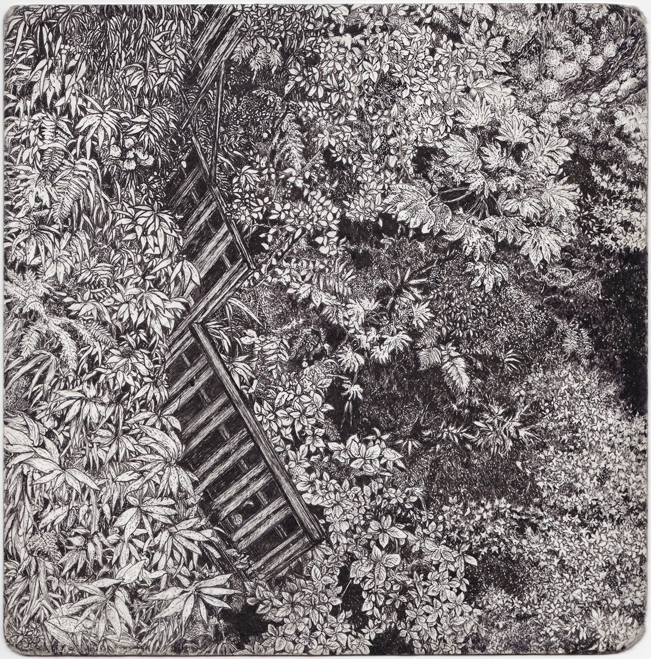 a black and white drawing of a fence descending into leaves