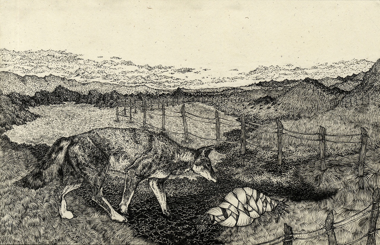 drawing of a coyote sniffing a bundle in the mud