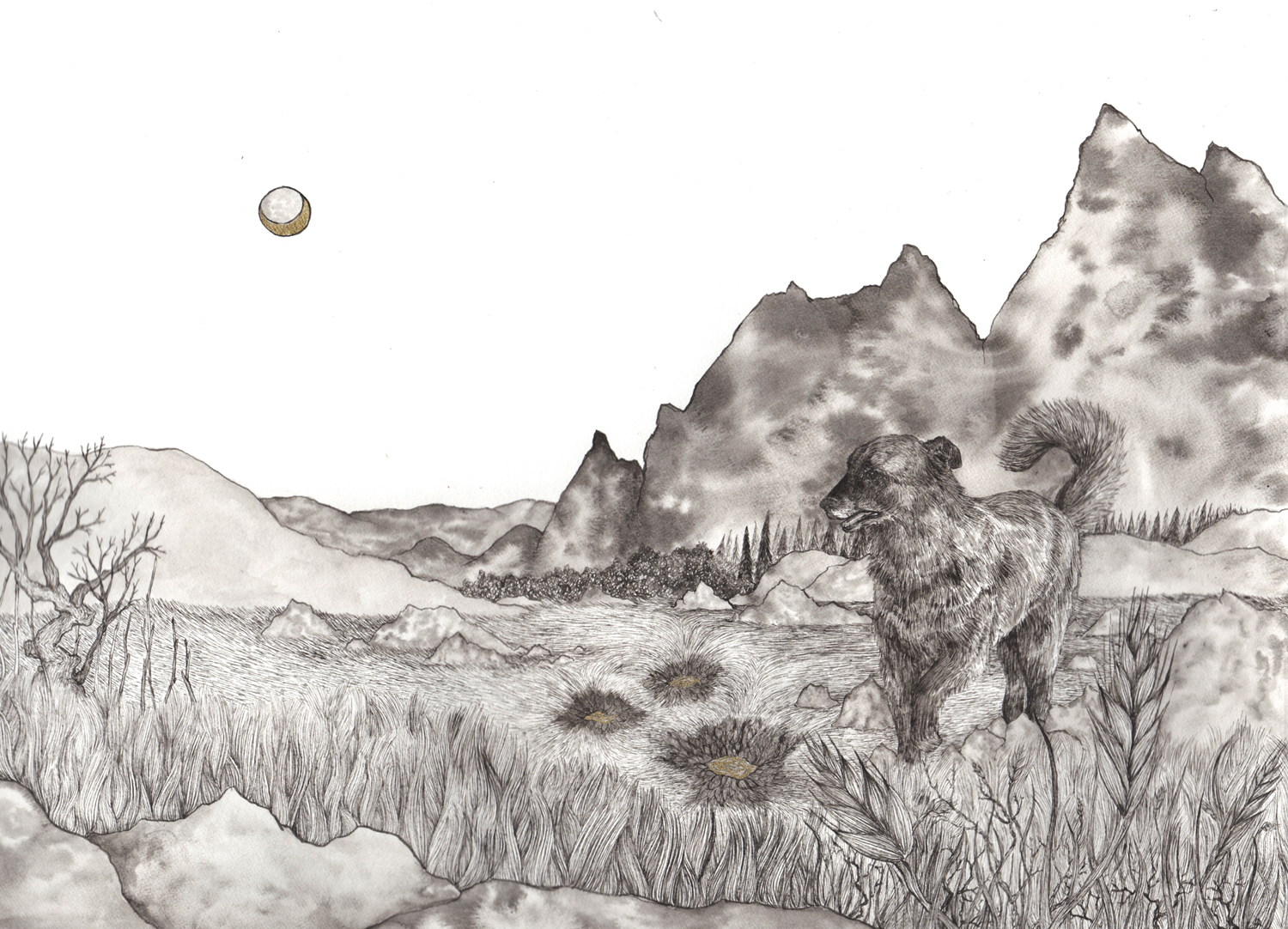 drawing of dog in mountains. a moon is up