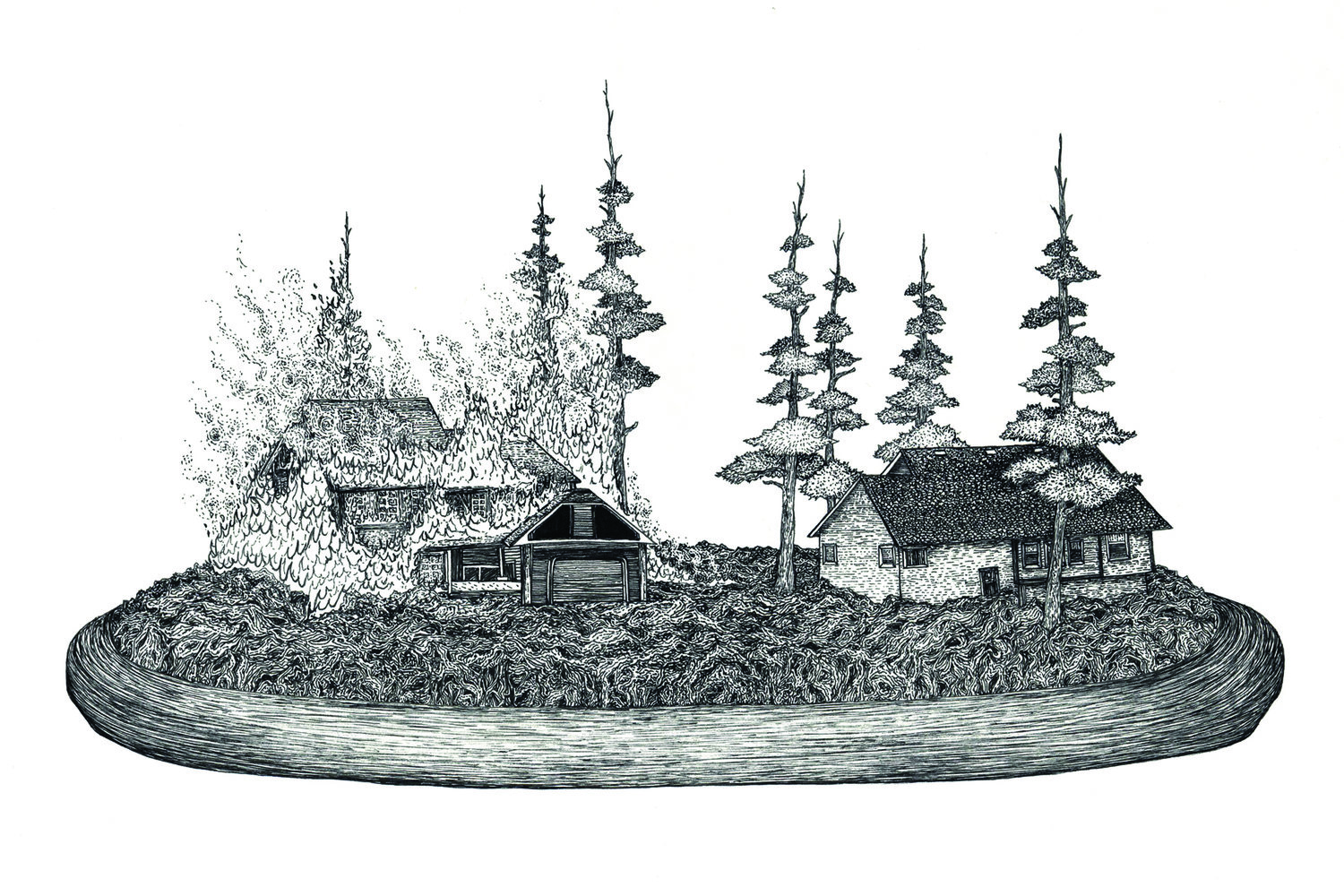 drawing of a saucer, with two houses in it among pine trees. one is on fire