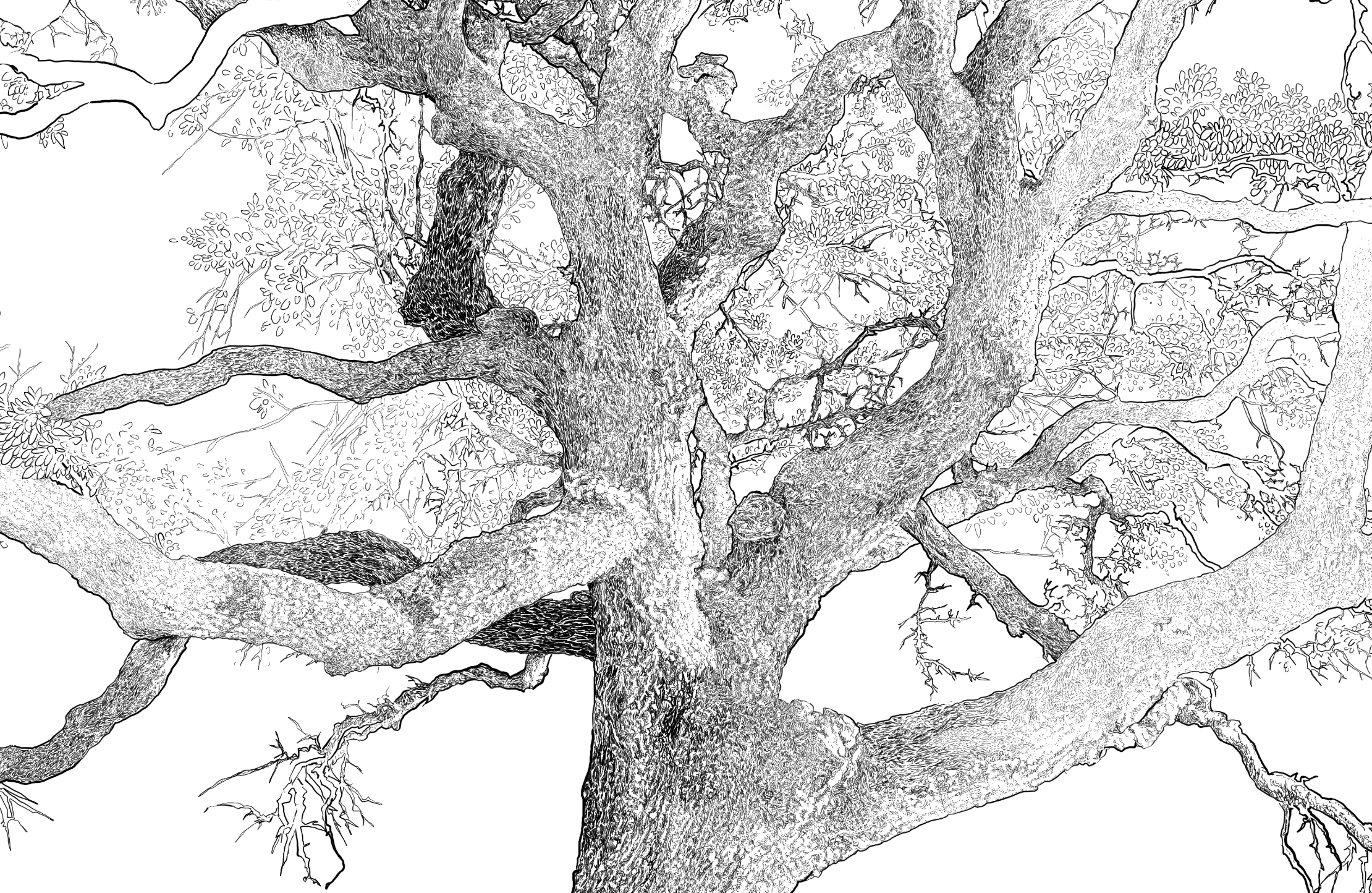 a detail of the tree