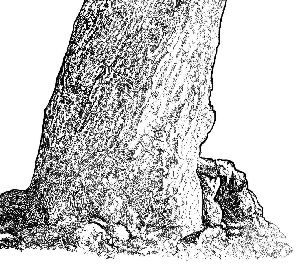 a detail of the tree