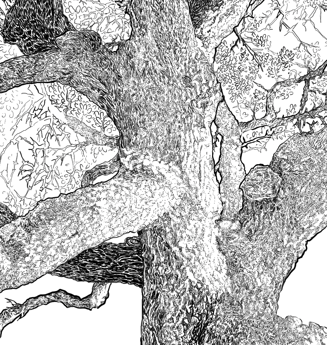 a detail of the tree