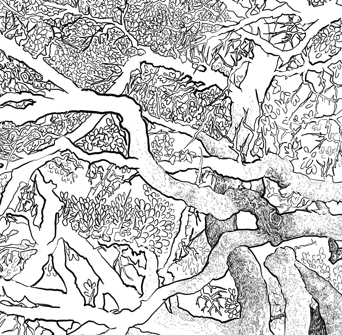 a detail of the tree