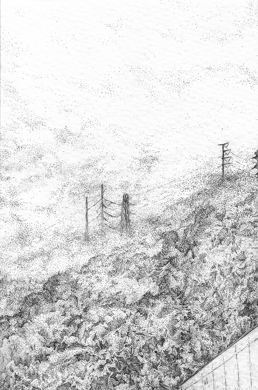 a black and white drawing of foliage and electrical wires