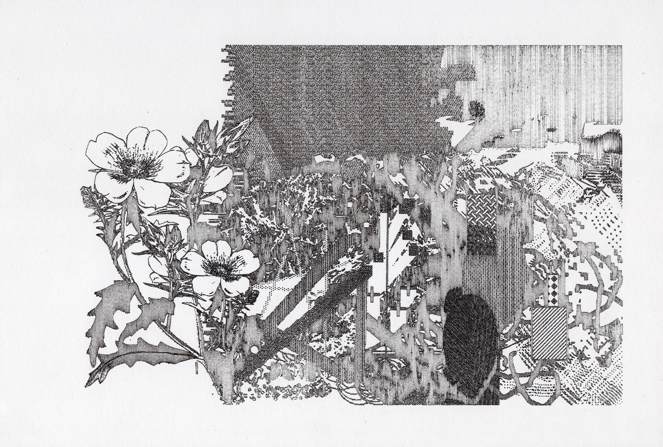 plotter drawing of flowers and patterns