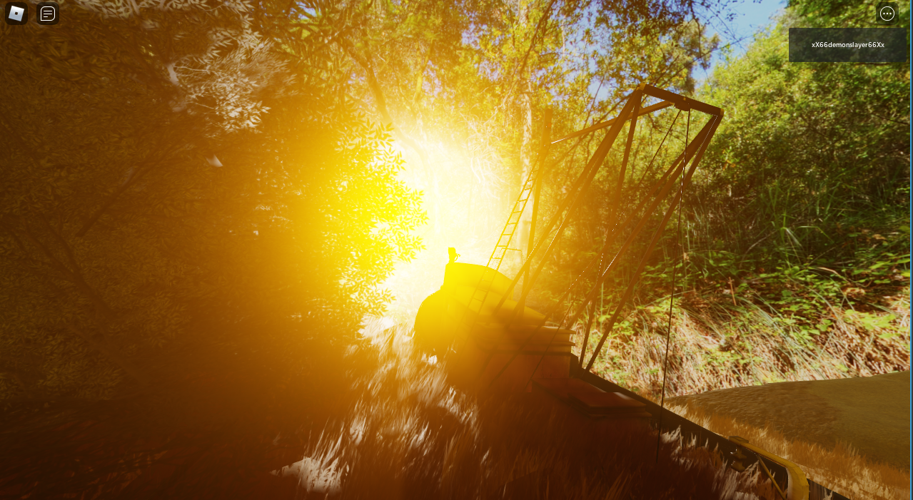 a beached ship, in the forest