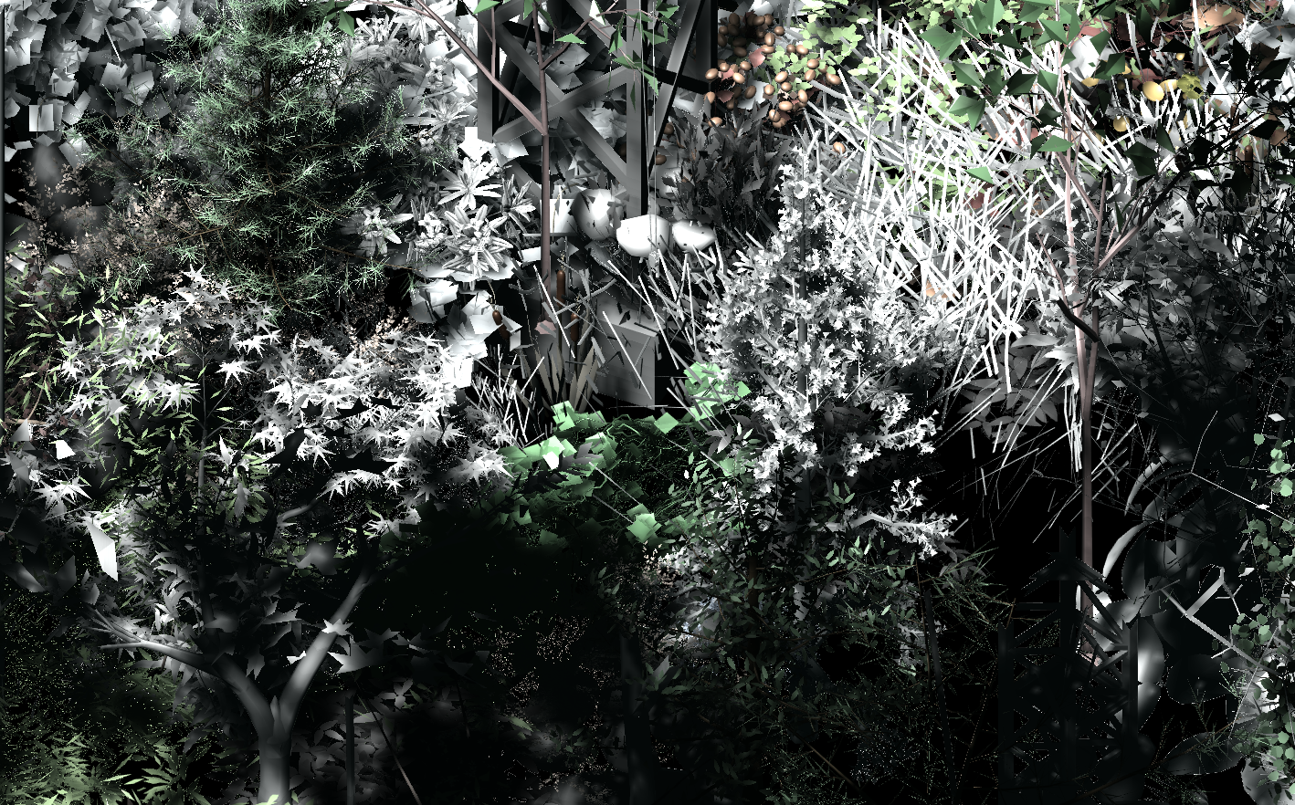 overhead shot of monochrome foliage