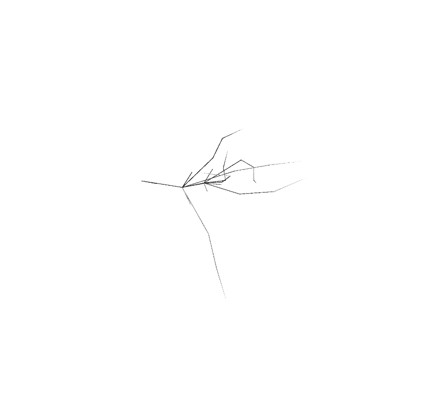 a convoluted, glitchy 3d model mesh of a tree branch